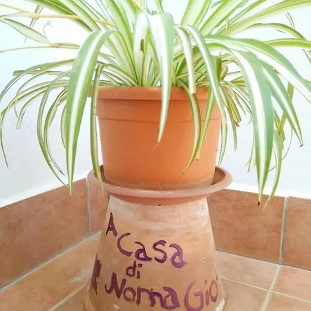 A Casa Di Nonna Gio Apartment Palermo