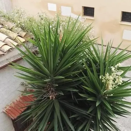 A Casa Di Nonna Gio Apartment *